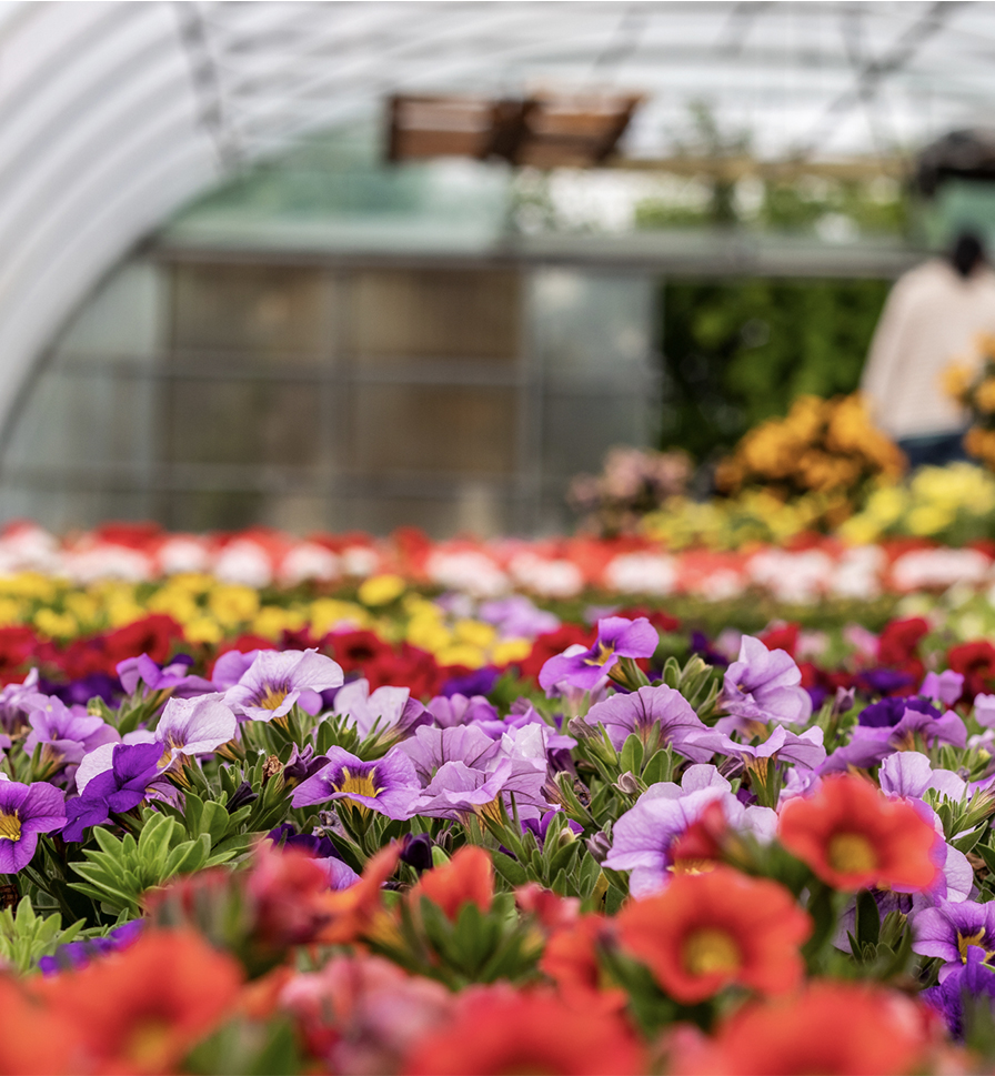 Greenhouse<br>Growers