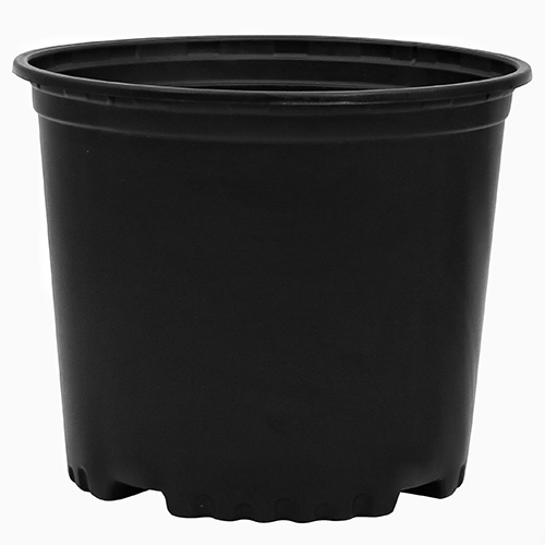 3 Gallon Nursery Container