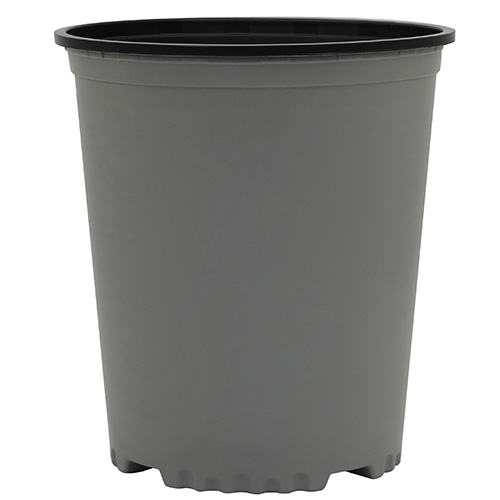 5 Gallon Nursery Container