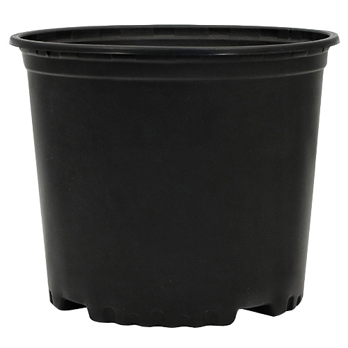 3 True Gallon Nursery Container