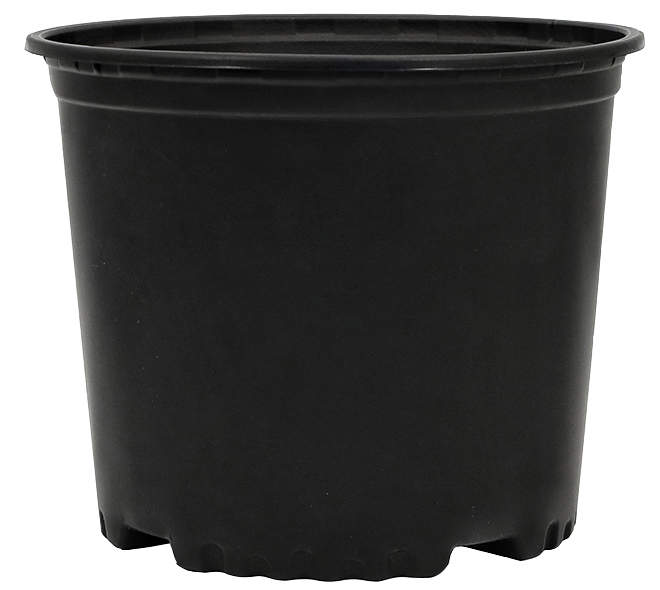 3 True Gallon Nursery Container