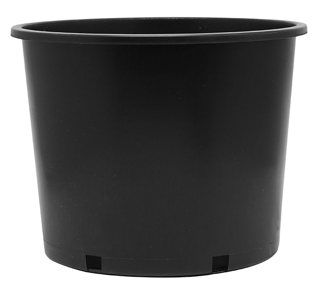 7 Gallon Nursery Pot Squat