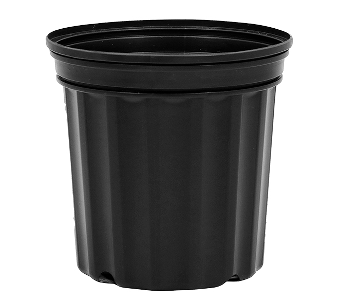 1 Gallon Nursery Pot