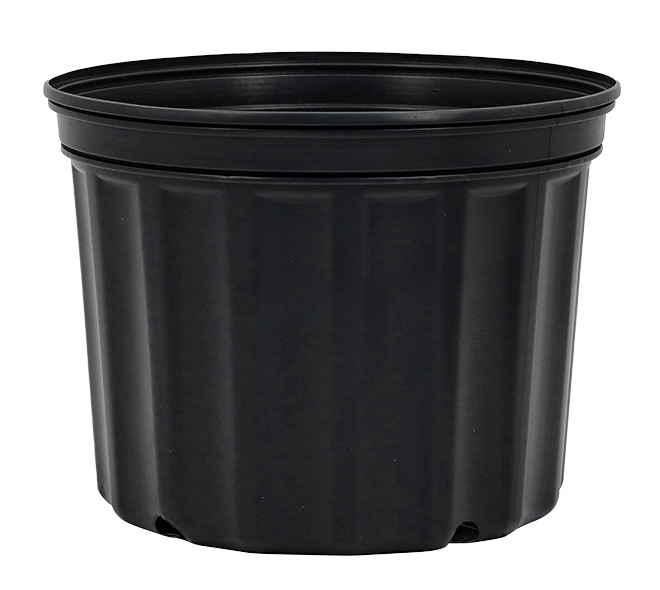 2 Gallon Nursery Pot Squat