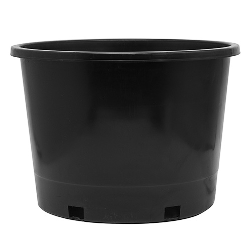 10 Gallon Nursery Pot Squat