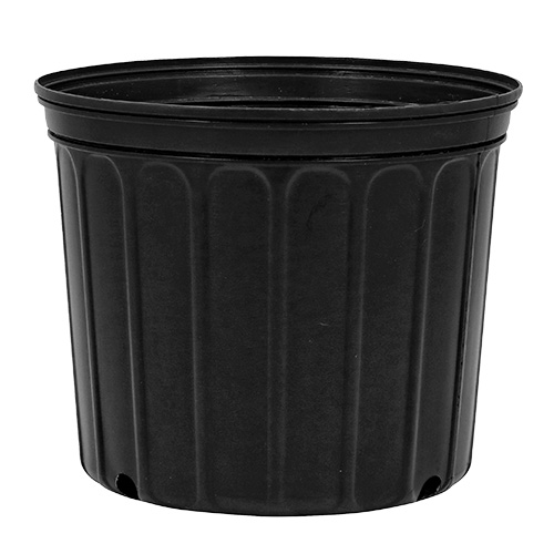 3 Gallon Nursery Pot 