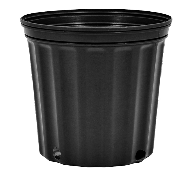 2 Gallon Nursery Pot 