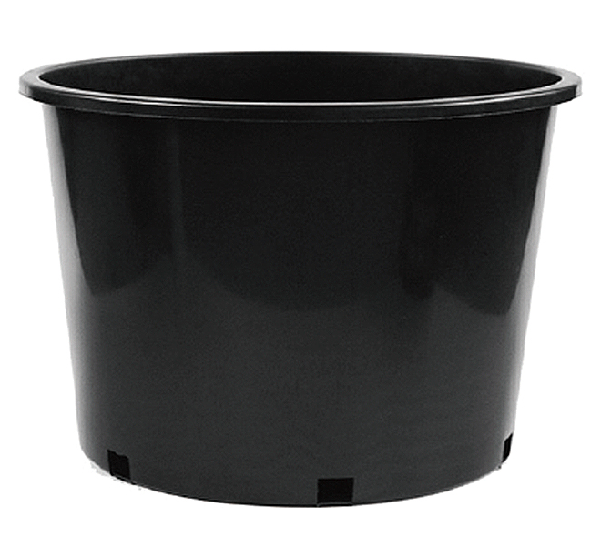 20 Gallon Nursery Pot 