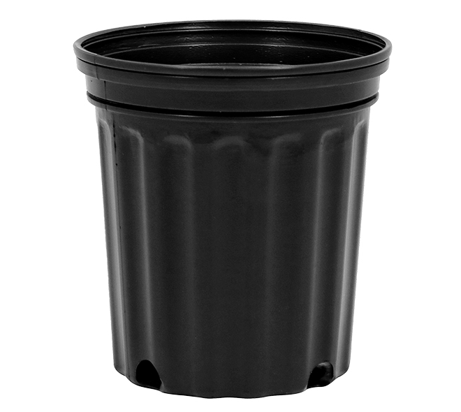 1 Gallon Nursery Pot