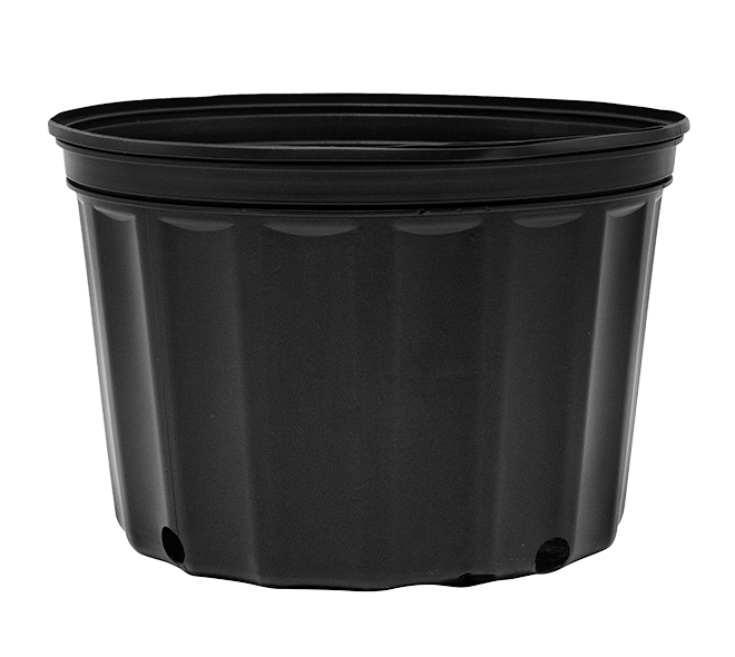 3 Gallon Nursery Pot Squat 