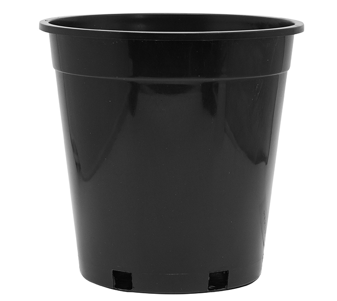 5 Gallon Nursery Pot 