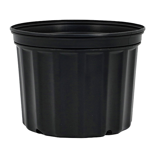 2 Gallon Nursery Pot Squat