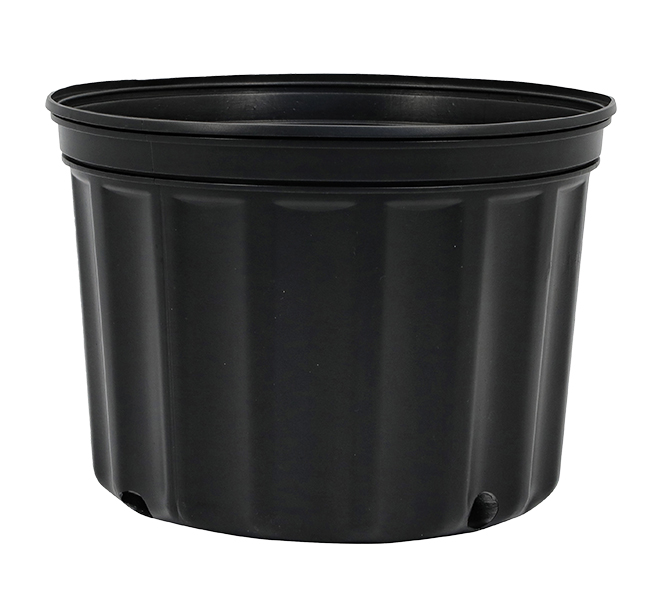 2 Gallon Nursery Pot Squat 